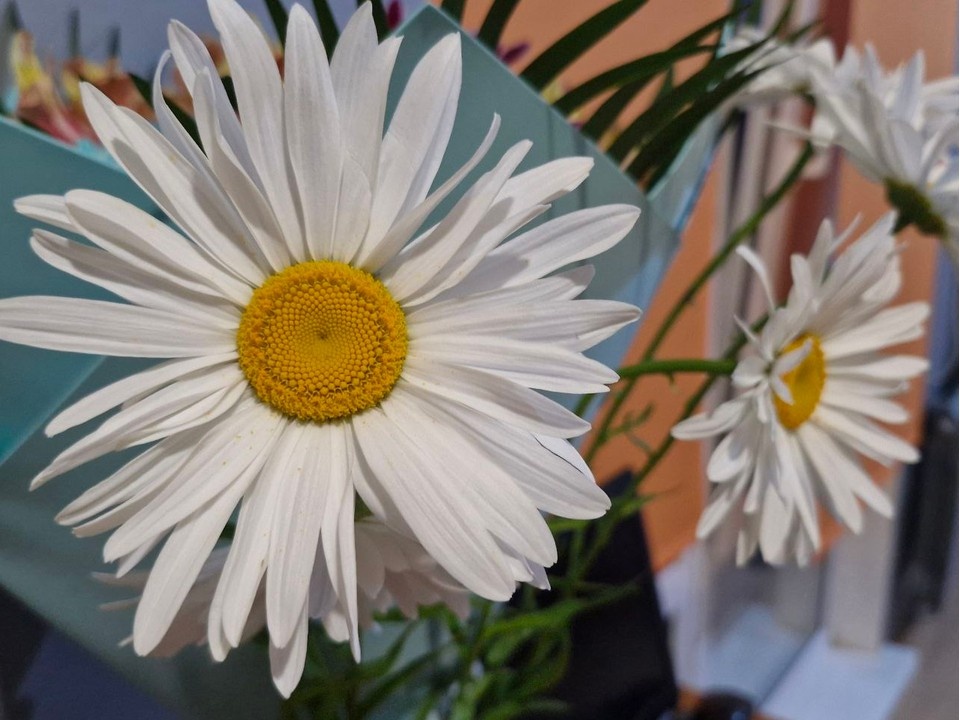    Фото: REGIONS/Наталия Надточая