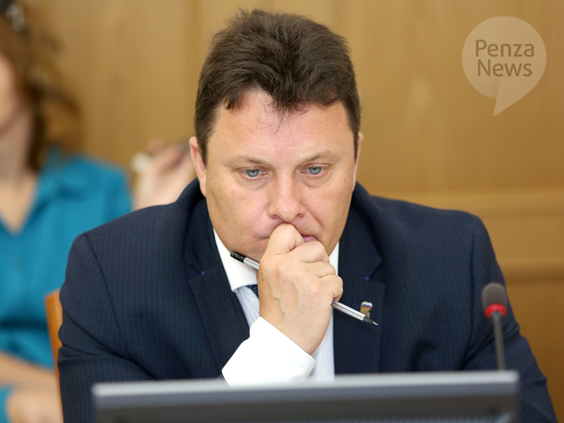    © Фото из архива ИА «PenzaNews»