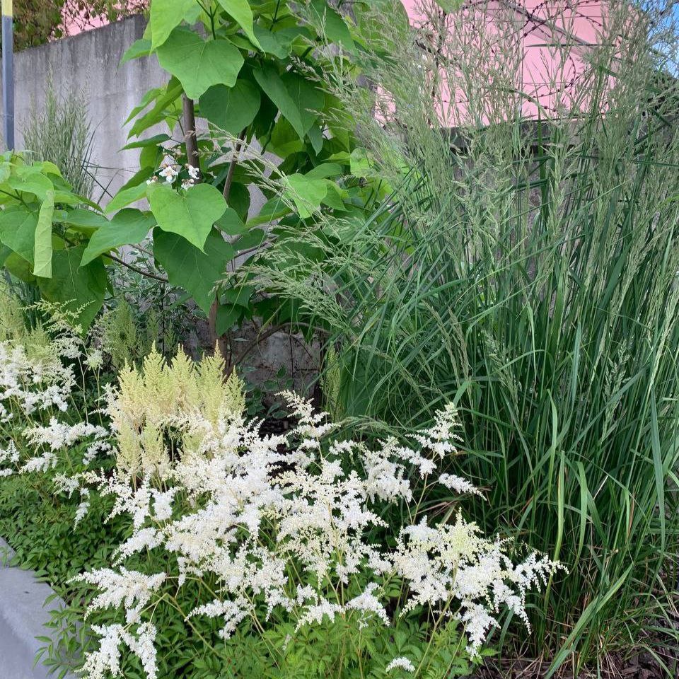 Фото с реализованного проекта