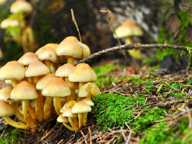    Фото: 123RF.com/tadeas21