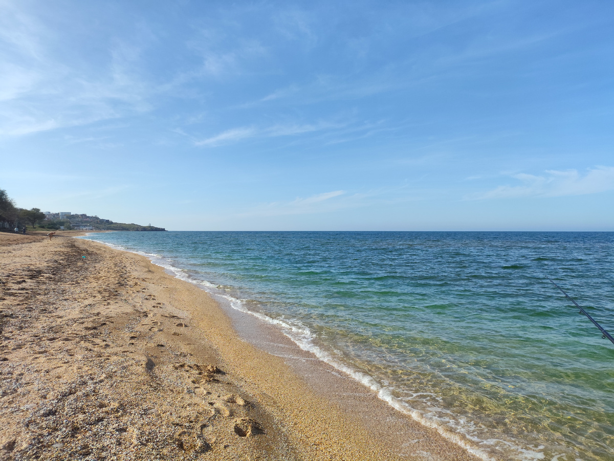 Чуть не доезжая до нашего дерева встали