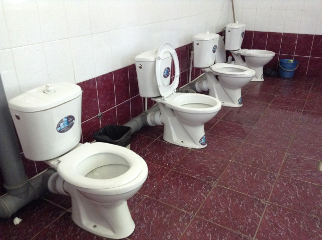    Фото: Елена Костюченкова