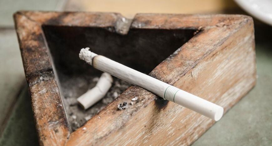    Ingram Publishing / Фотобанк Лори