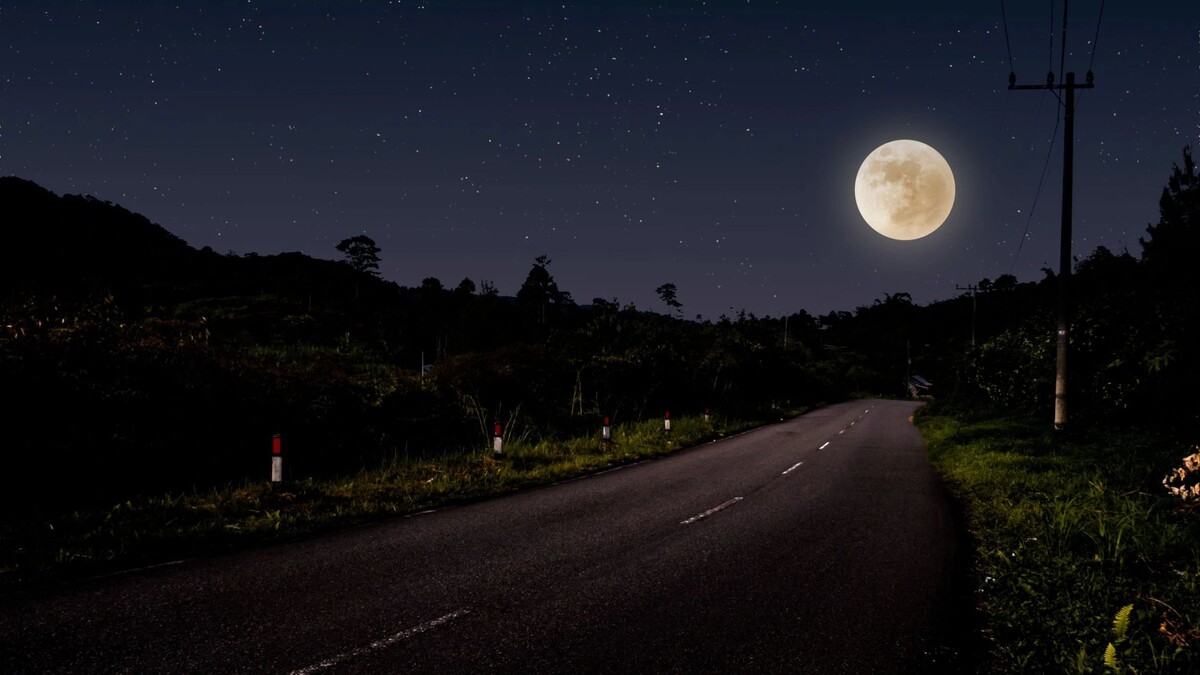    Фото: johnpluto/Shutterstock/Fotodom