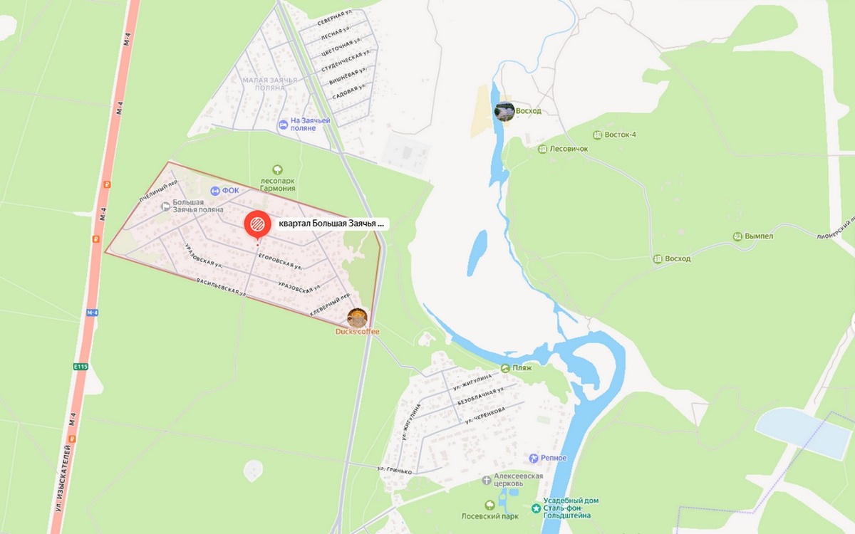    Общественные слушания по скандальной земле в воронежском Репном состоялись, несмотря на возражения участников Фото – Яндекс.Карты