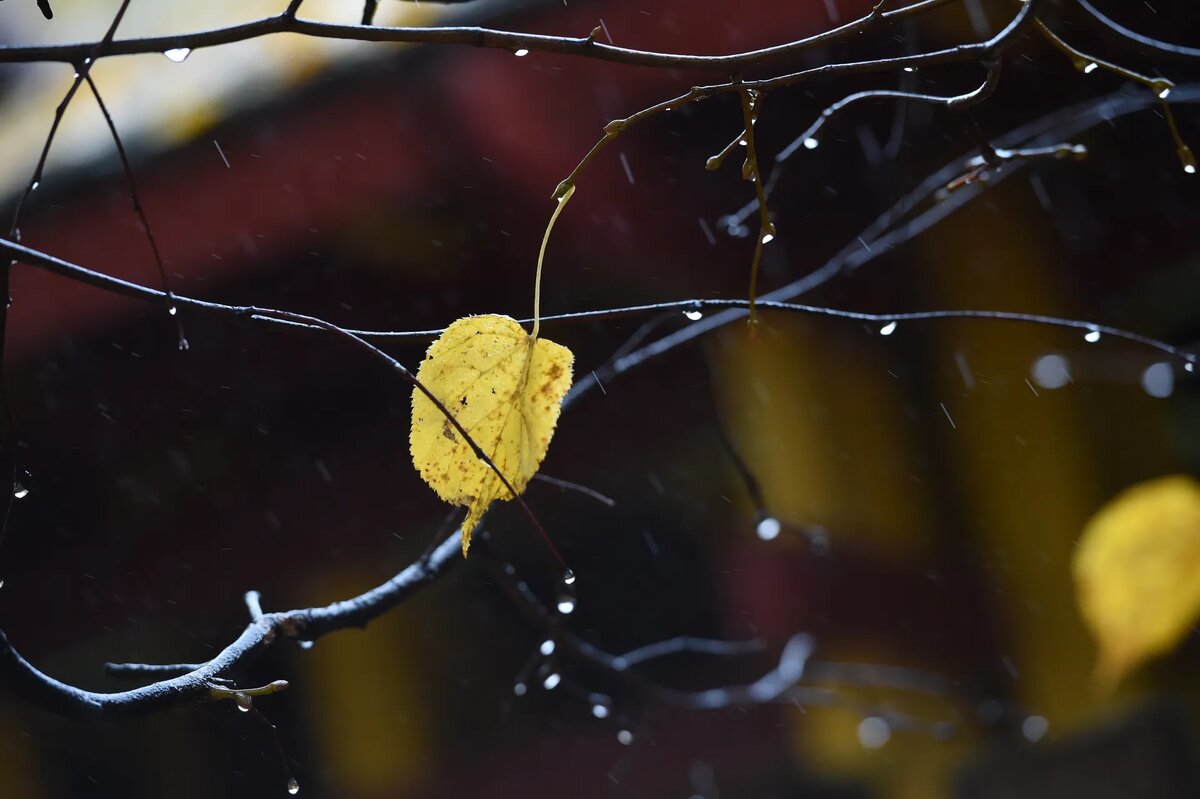 Фото: Медиасток.рф