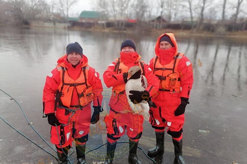    Локомотивный отряд ПСС Челябинской области. Гусь и его спасители