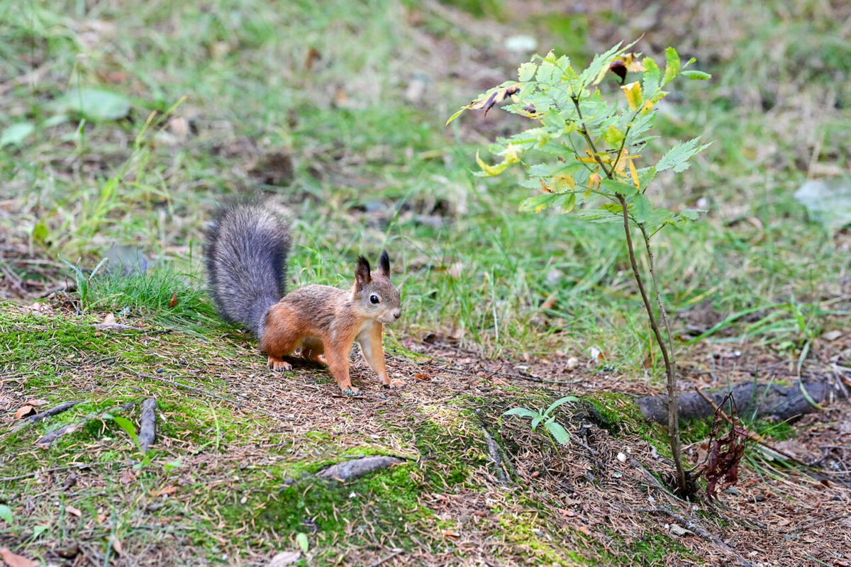    Фото: "Республика"/Сергей Юдин