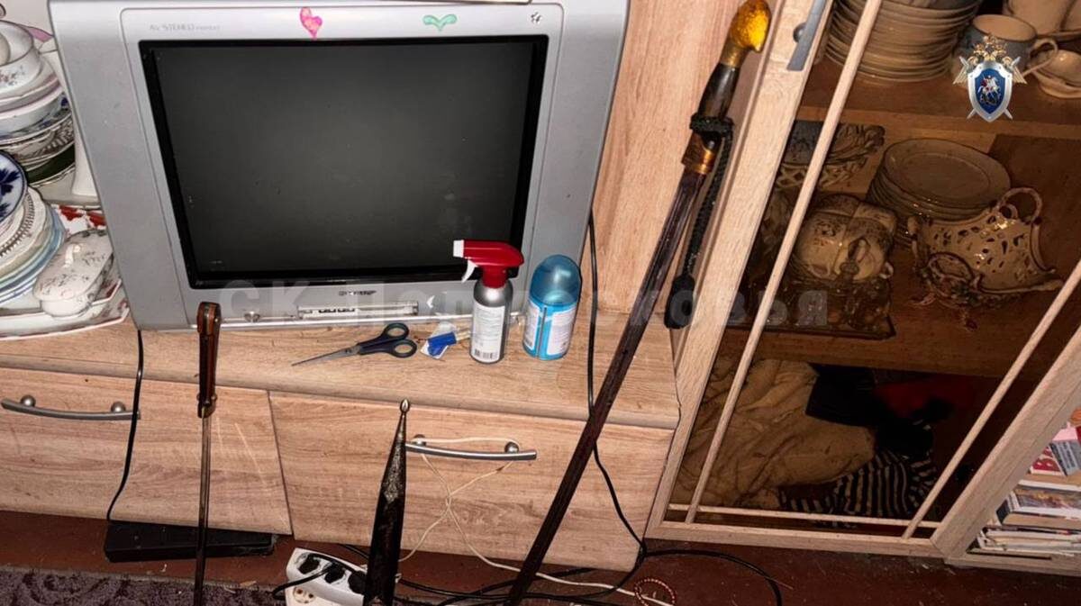    Фото: пресс-служба Следственного комитета России по Московской области / Telegram