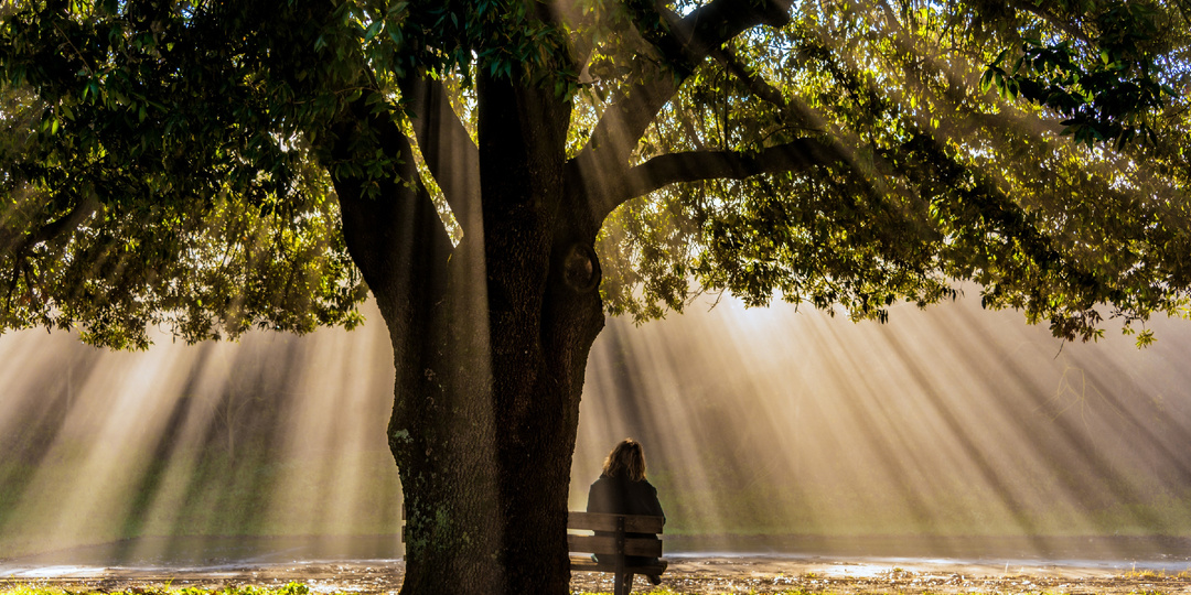 ВСЁ ЕСТЬ, А СЧАСТЬЯ НЕТ: путь к выходу из кризиса