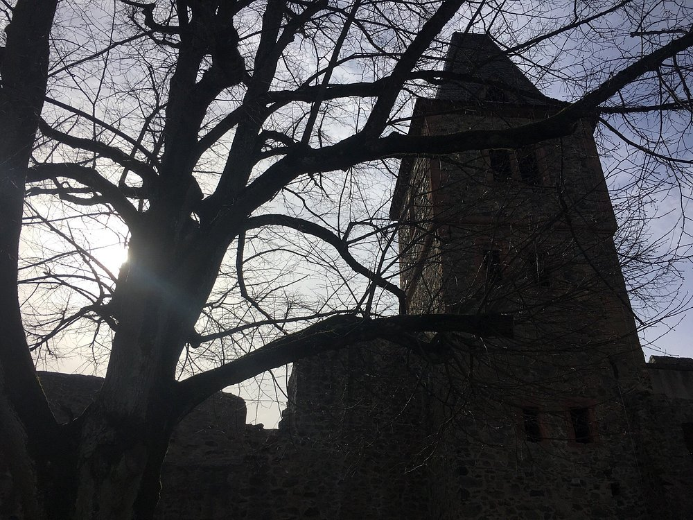 Замок Франкенштейн https://www.tripadvisor.ru/Attraction_Review-g2615157-d7357088-Reviews-Burgruine_Frankenstein-Frankenstein_Rhineland_Palatinate.html