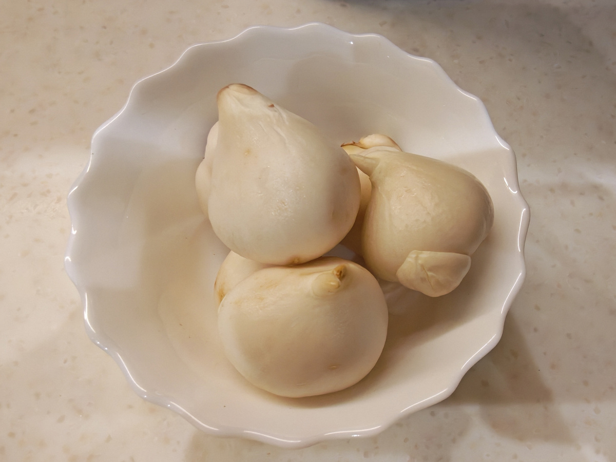 В этот раз луковицы были зачищены от чешуек, для пущей верности. 