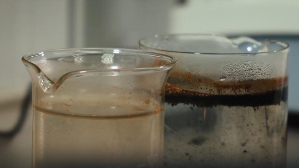 Фото: © Кадр из программы "Знаете ли вы, что?", РЕН ТВ