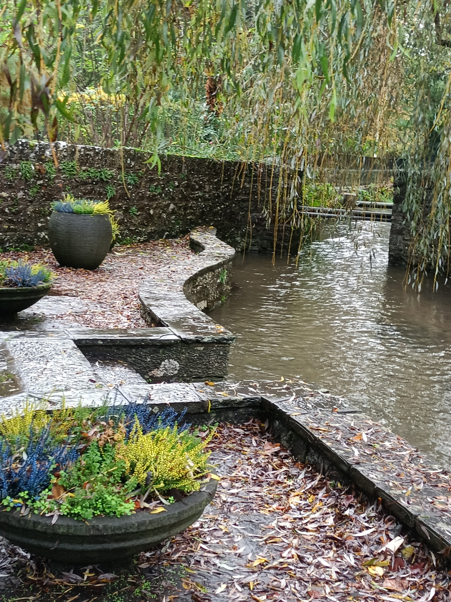 Водная идиллия.Городской парк.Adare. Графство Limerick. Ирландия . Фото автора 