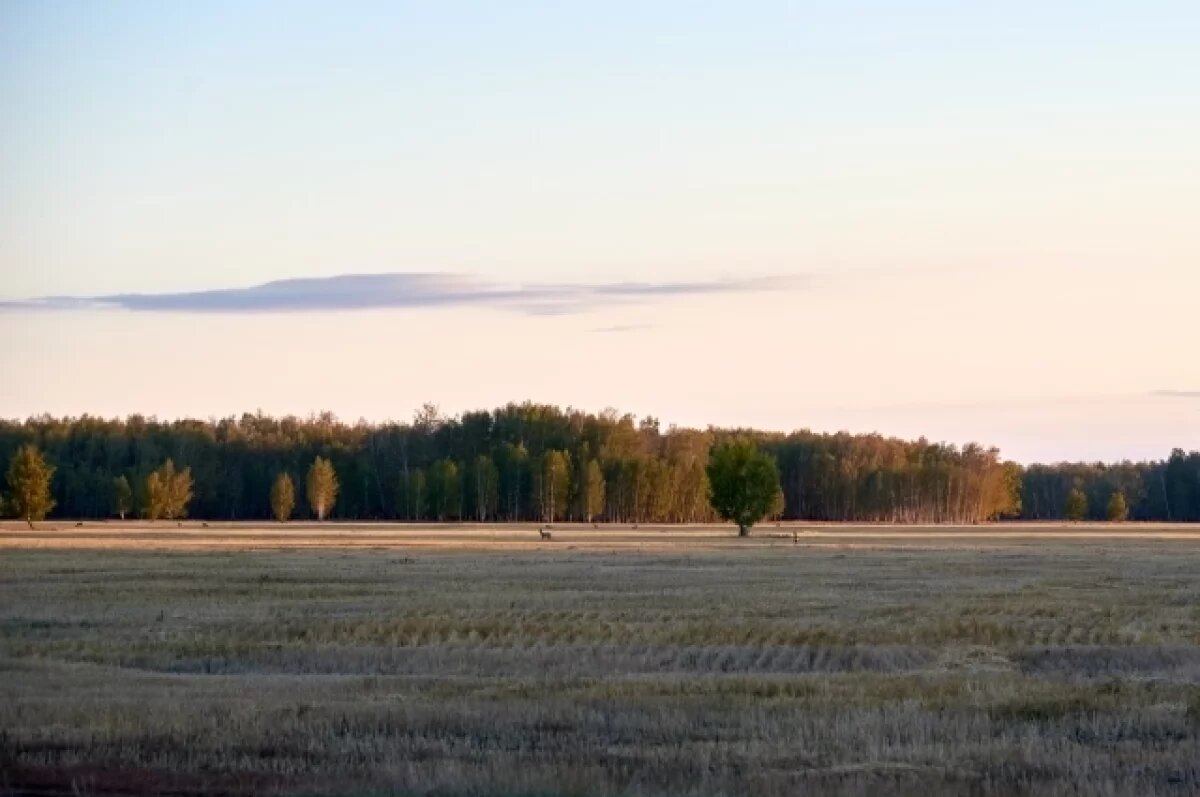    Тулякам рассказали о штрафах за нецелевое использование земельного участка