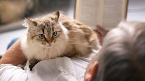 Фото из Интернета.