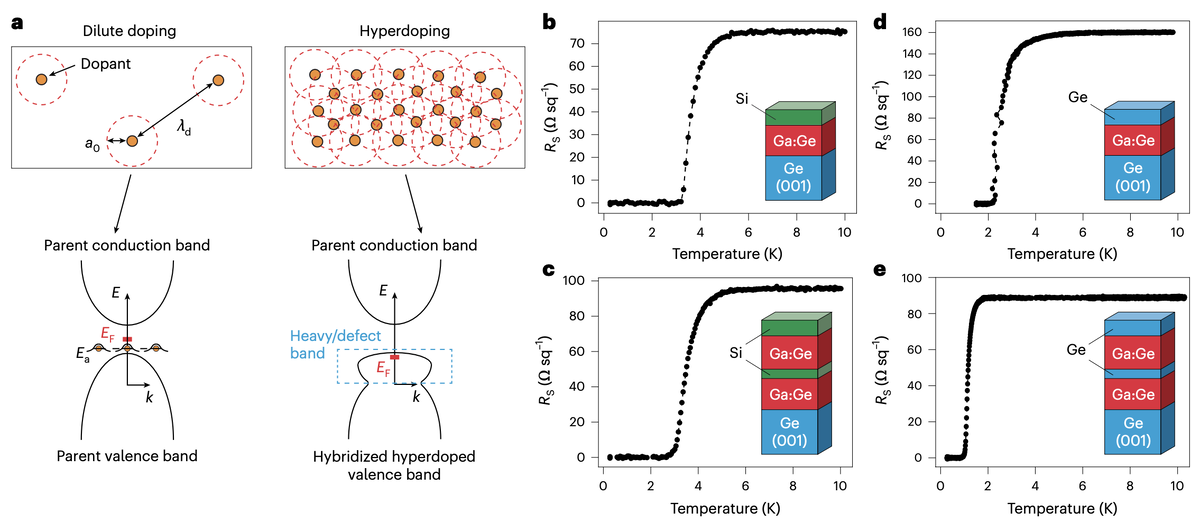   Julian A. Steele et al. / Nature Nanotechnology, 2025