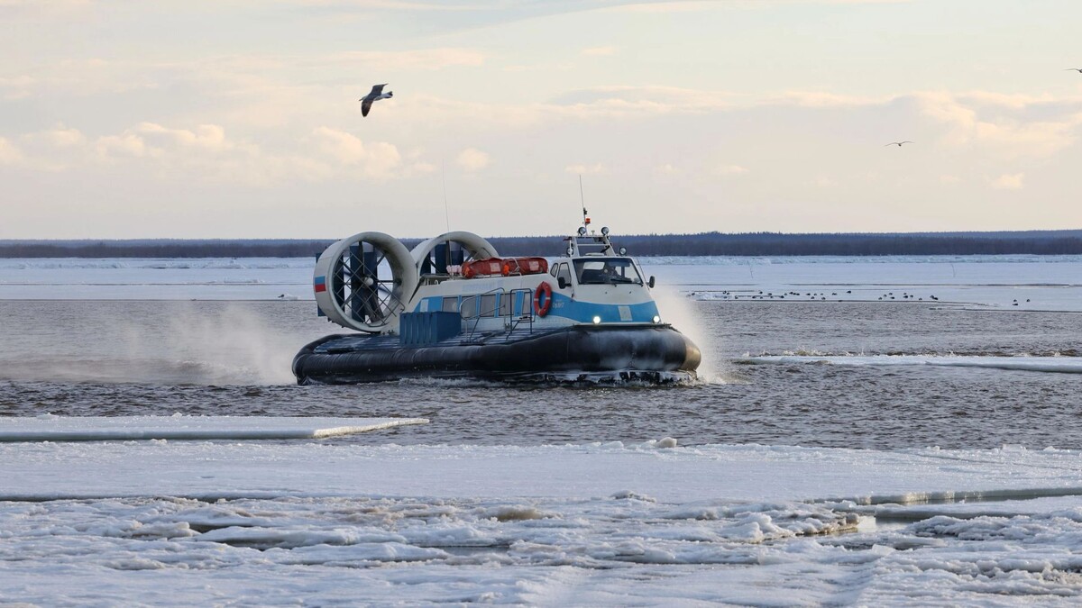    Фото: Андрей Ткачев/«Ямал-Медиа»