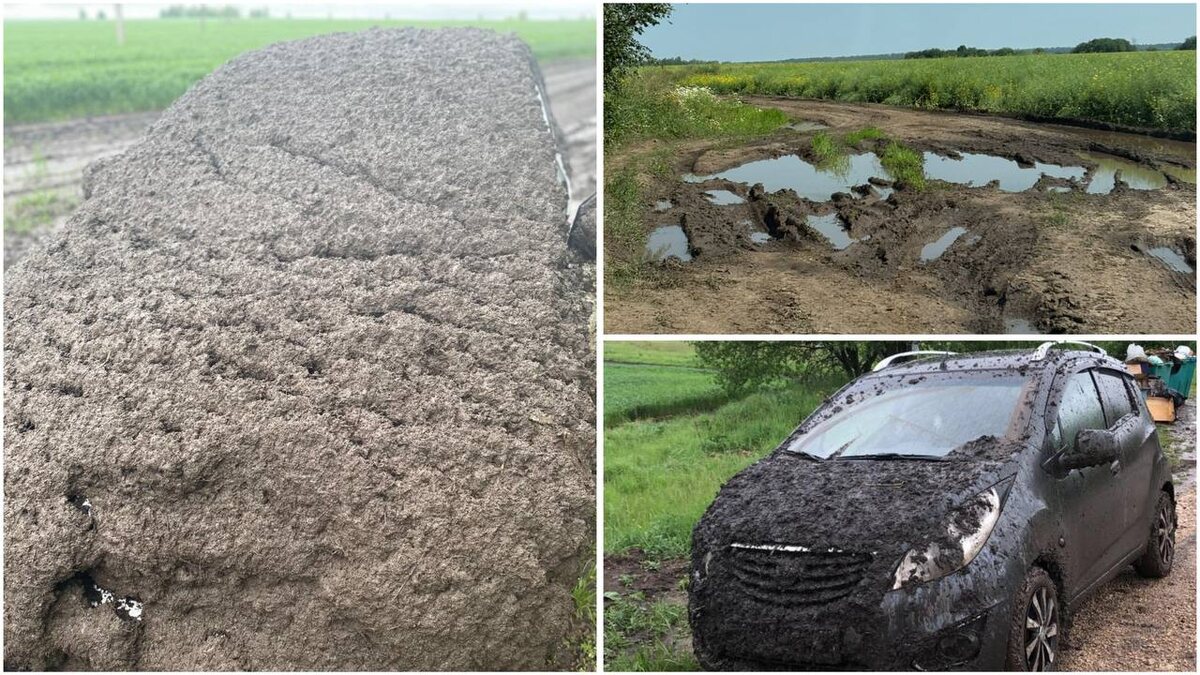 Фото предоставлено жителями деревни 