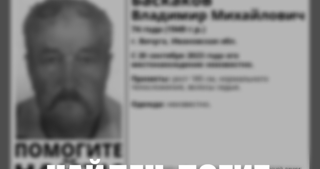 Ивановские поисковики сообщили о гибели пропавшего два года мужчины