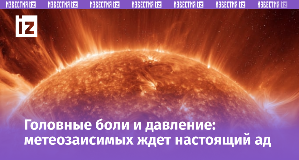 Фото: 5-tv.ru