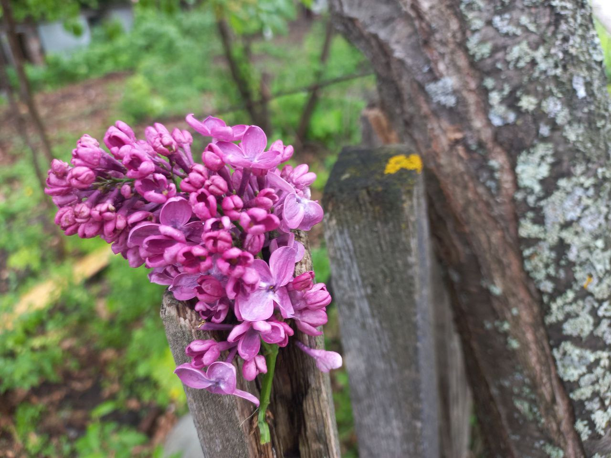 Фото автора.