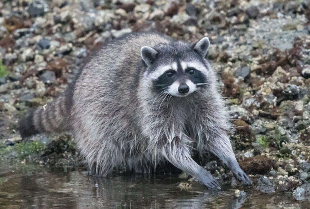 Фотография из интернета