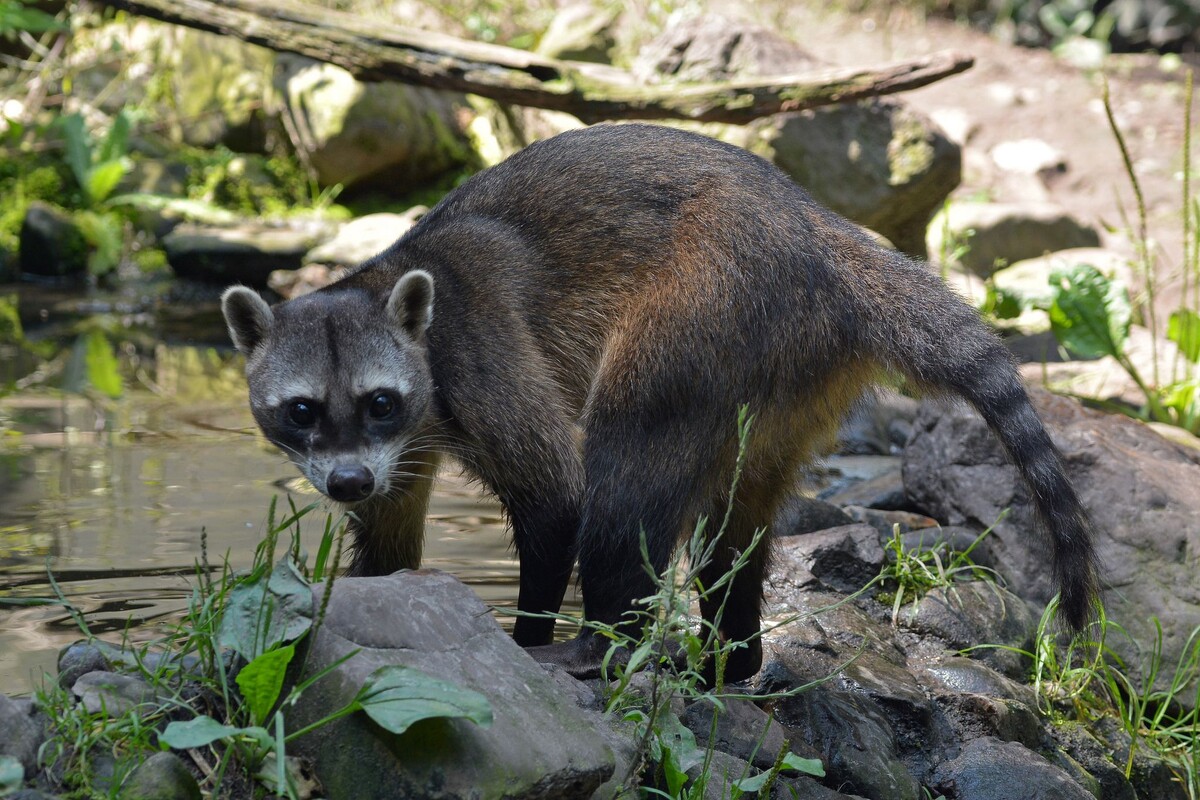 Фотография из интернета