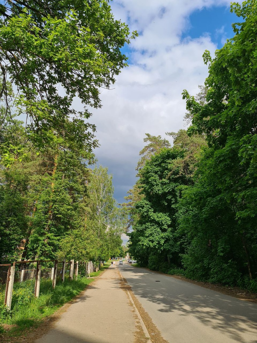 Димитровград очень зеленый город 💚 