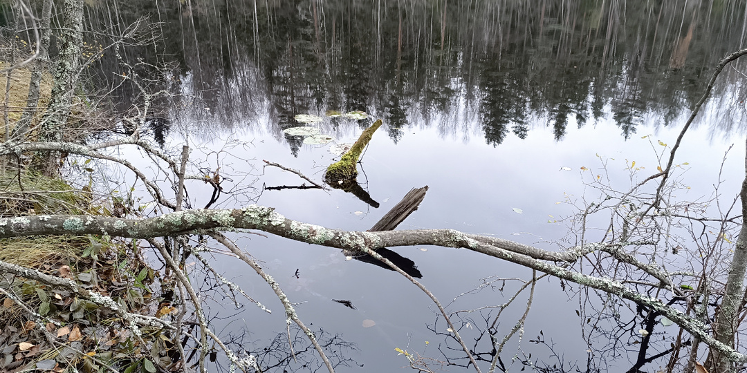 Первые находки в финских архивах: что удалось найти за вечер