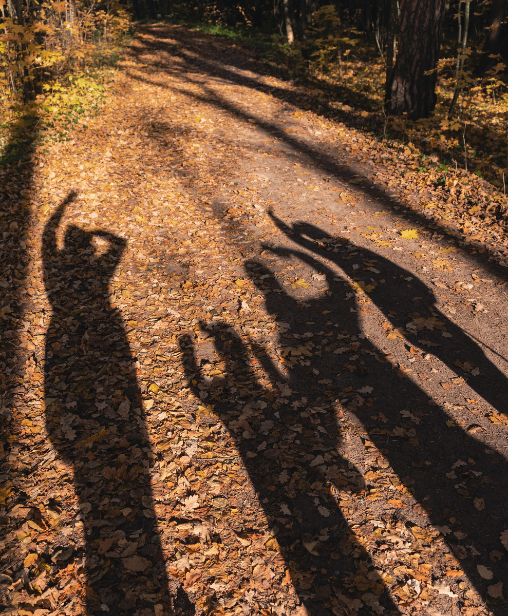 Тень семьи)