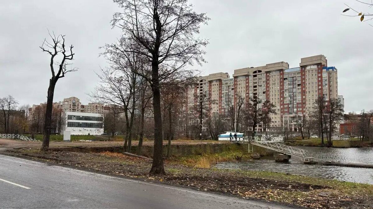    Фото: t.me/kkispb