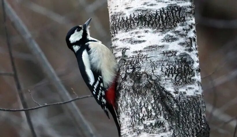     © РИА Новости. Илья Наймушин