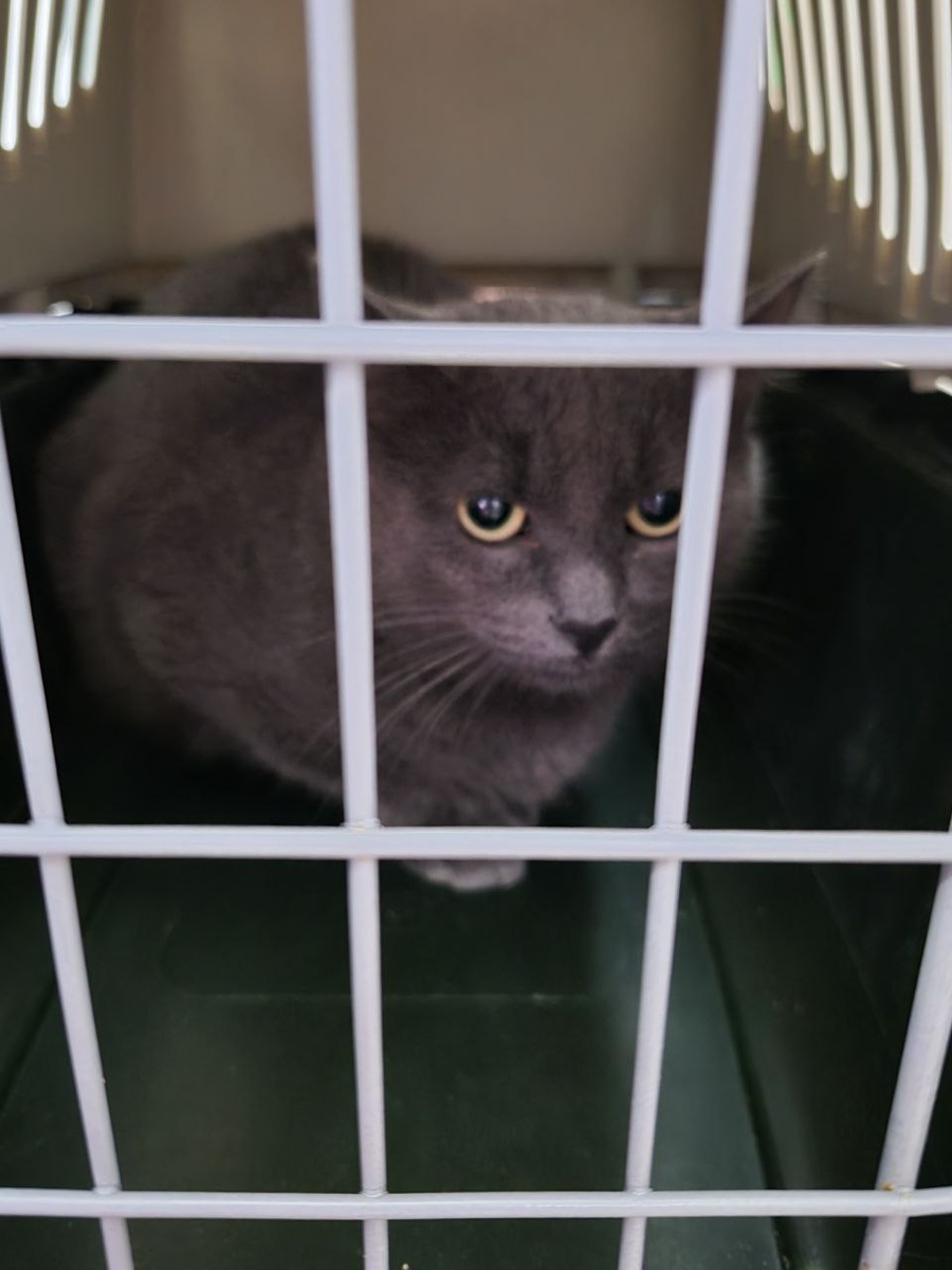 Куда опять??