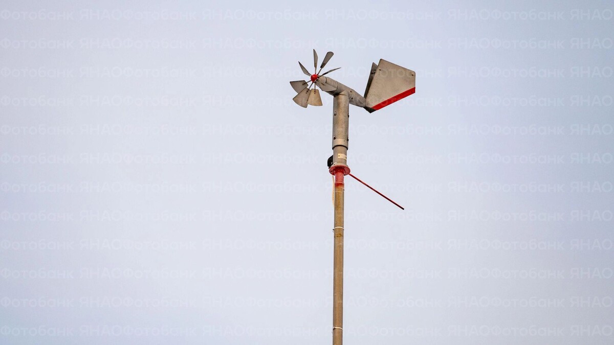    Фото: Сергей Зубков/«Ямал-Медиа»
