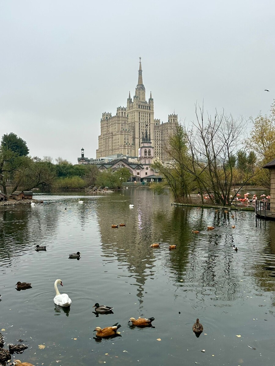 Фото автора.