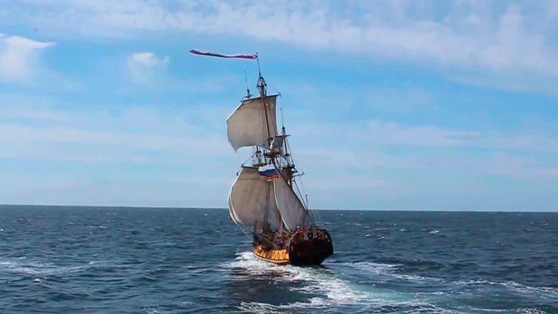 Раскроем эту тему, опираясь на практический опыт российского эксперта по работе с мышлением, развитию навыков и достижению целей - нейрокоуча Веры Ларцевой. 