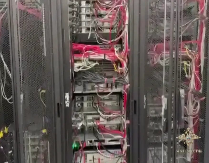    Фото: скрин видео МВД России