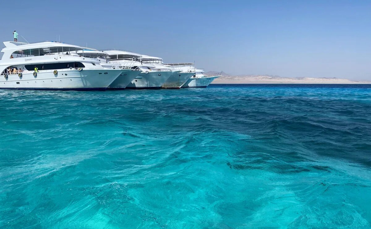    Египет без розовых очков: что скрывают бирюзовые воды Шарм-эль-Шейха?