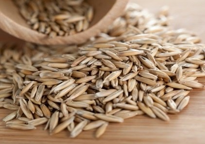    © Управление Россельхознадзора по Кировской области, Удмуртской Республике и Пермскому краю