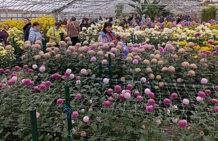 Фото: администрация Волгоградской области