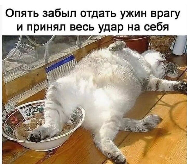 источник Яндекс-картинки