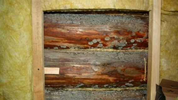 Вот что бывает с деревом, утепленным снаружи