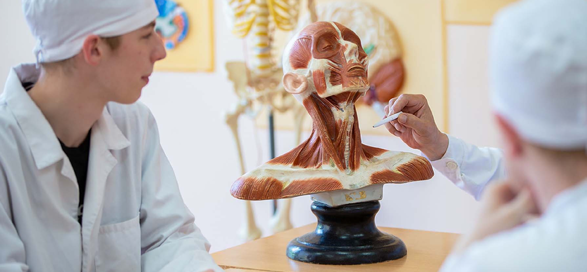 Медвуз в 2025: какие экзамены сдавать и как не завалить поступление? Путеводитель для родителей. (Источник: Яндекс Картинки)