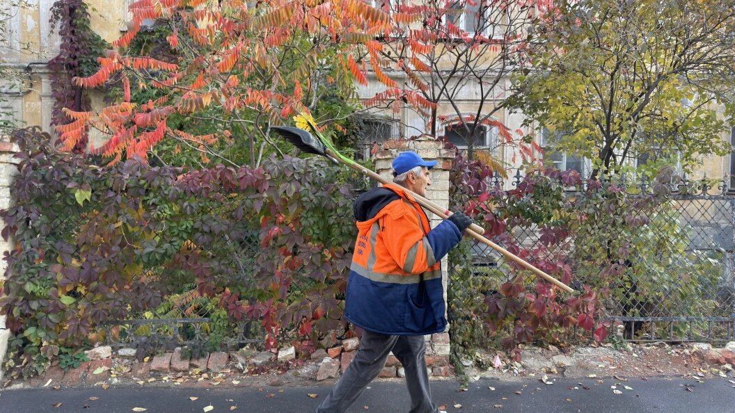    Alexander Legky/Global Look Press