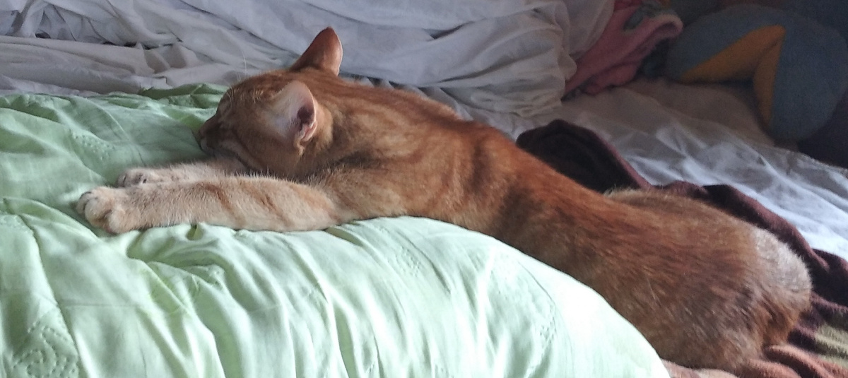 личное фото