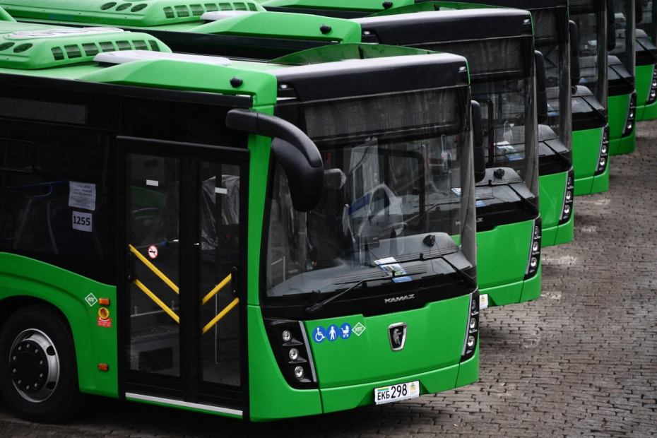    Павел Лисицын/РИА Новости