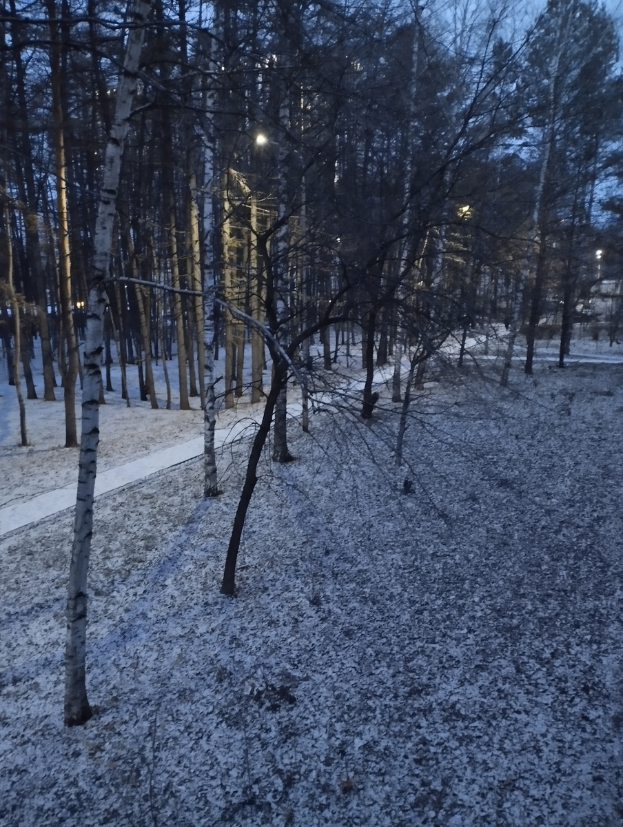 Первый снег