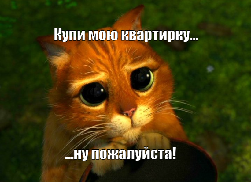 Покупка жилья от цели до приема-передачи