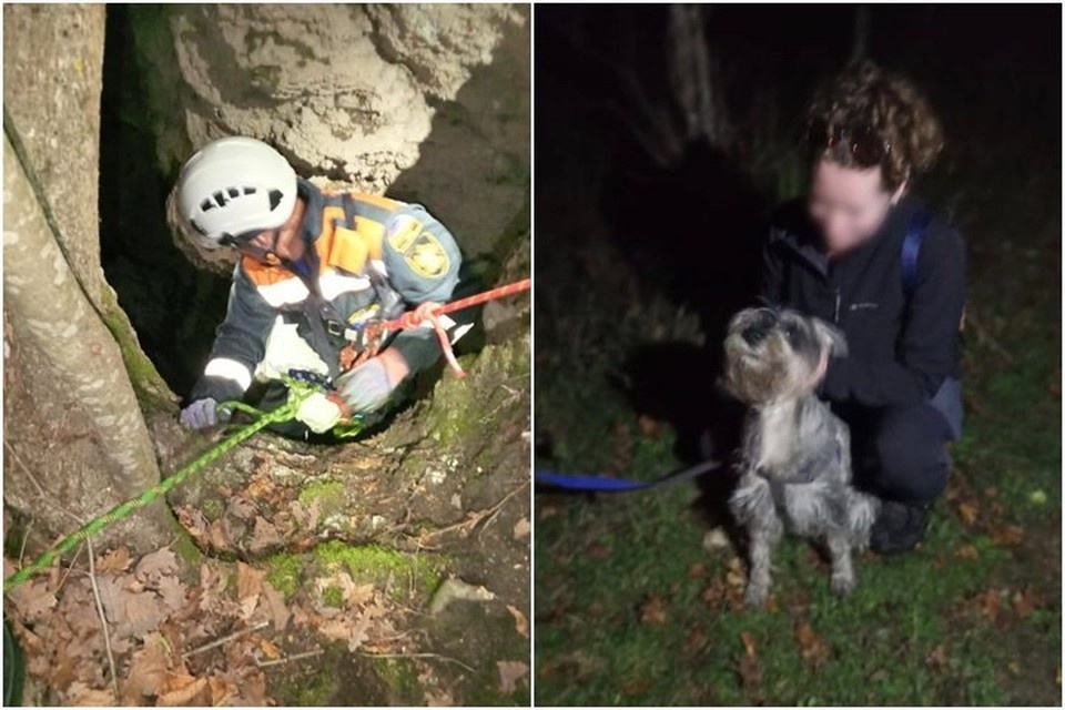    Мини-шнауцера достали из 10-метровой ямы. Фото: пресс-служба министерства ГО и ЧС КК